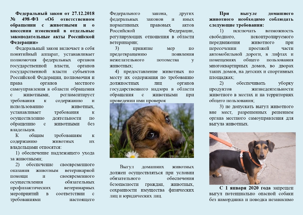 Ярославская межрайонная природоохранная прокуратура информирует население об ответственном обращении с животными